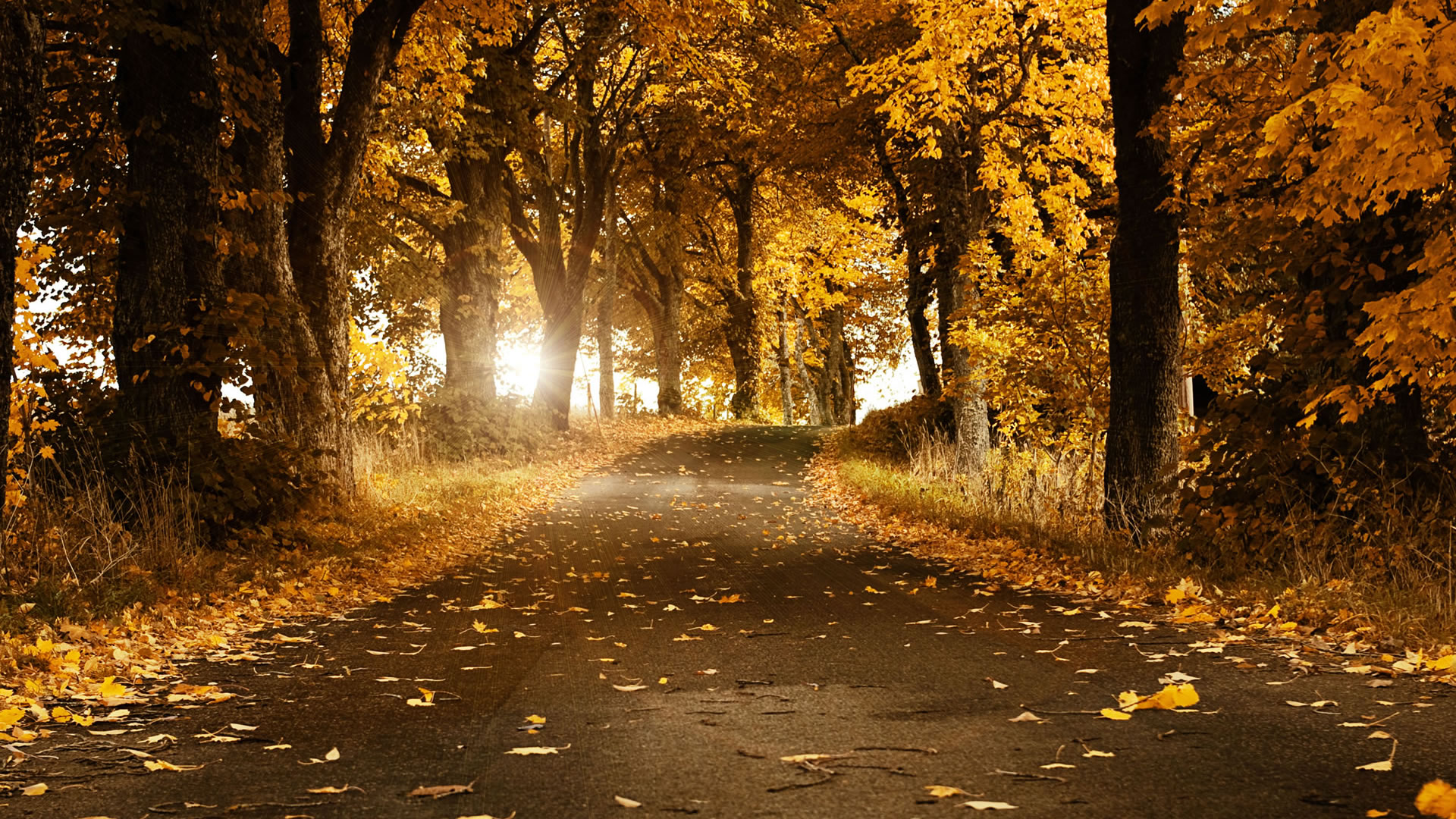 fall season